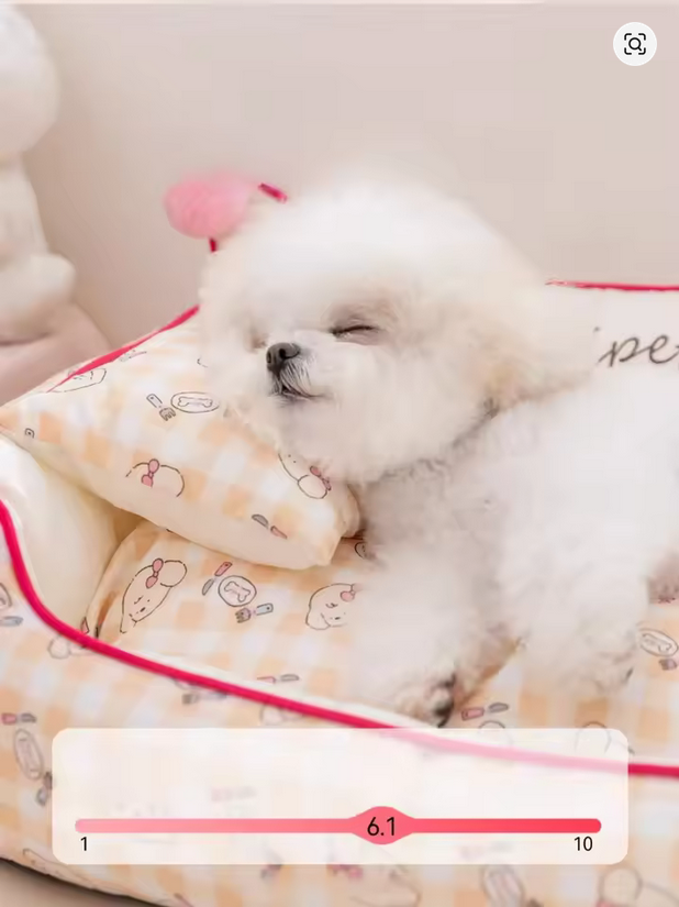 Cushion Puppy Mat