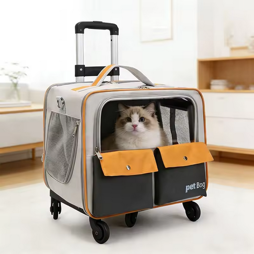 Foldable Cat Carrier
